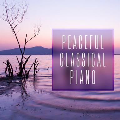 Piano Concerto No. 20 in D Minor, K. 466: II. Romance (Excerpt)