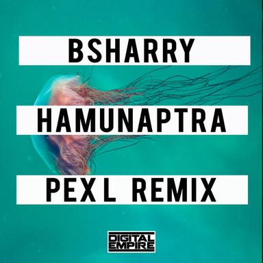 Hamunaptra - Pex L Remix