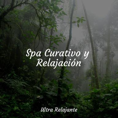 Ambiente Consciente