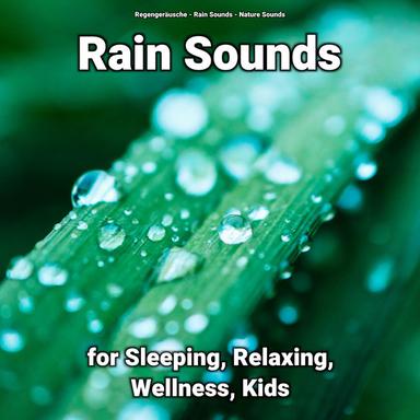 Dreamy Rain Sounds to Sleep To