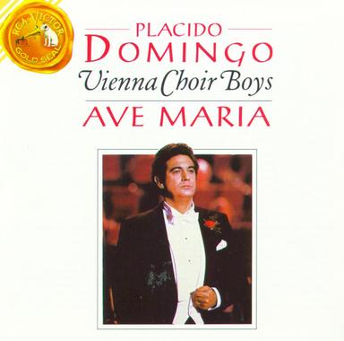 Messe solennelle in A Major, Op. 12, FWV 61: V. Panis Angelicus