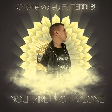 You Are Not Alone - Extended Mix