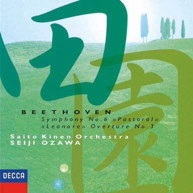 Symphony No. 6 in F Major, Op. 68 "Pastoral": 2. Szene am Bach. Andante molto mosso