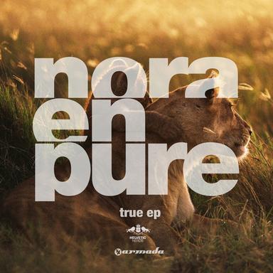 True - Original Mix