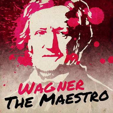 Tannhäuser : Wie Todesahnung... O du mein holder Abendstern (Wolfram)