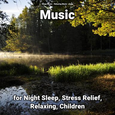 Relaxing Music for a Relaxing Atmosphere