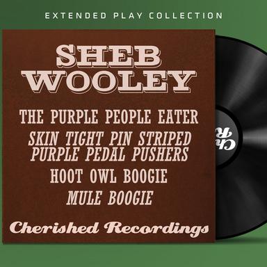 Hoot Owl Boogie