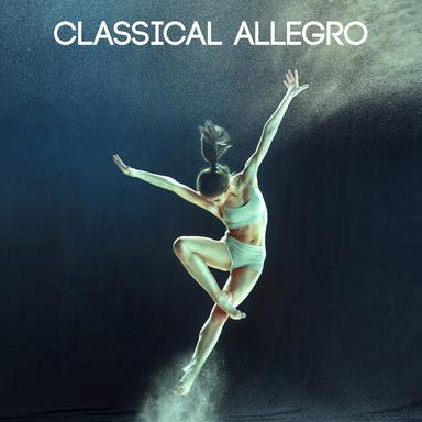 Brandenburg Concerto No. 3 in G Major, BWV 1048: I. Allegro