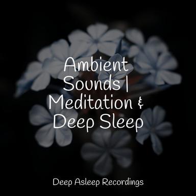Peaceful Sleeps