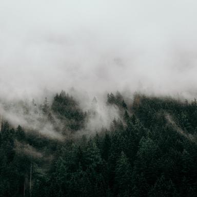Lucid Dreams