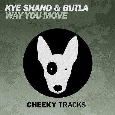 Way You Move