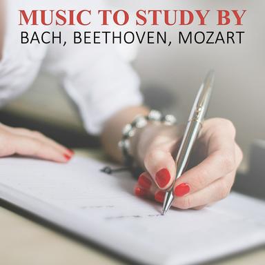 Violin Sonata No. 18 in G Major, K. 301: II. Allegro