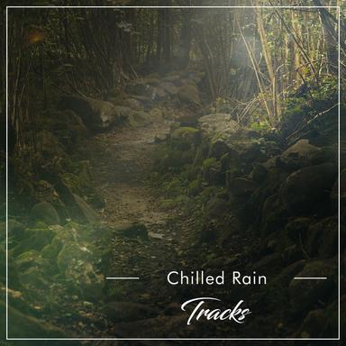 Quiet Rain(Loopable,No fade)