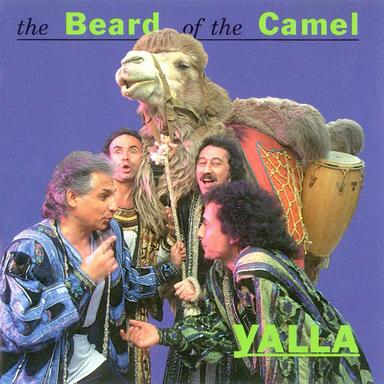 Y