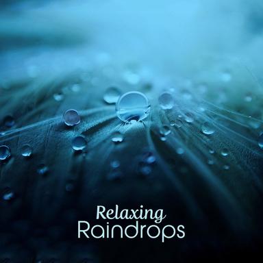 Umbrella Rain