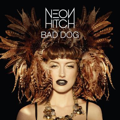 Bad Dog - Jason Nevins Remix; Radio Edit
