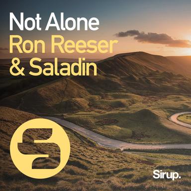 Not Alone - Original Club Mix