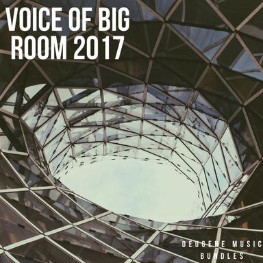 Voice Of Bass