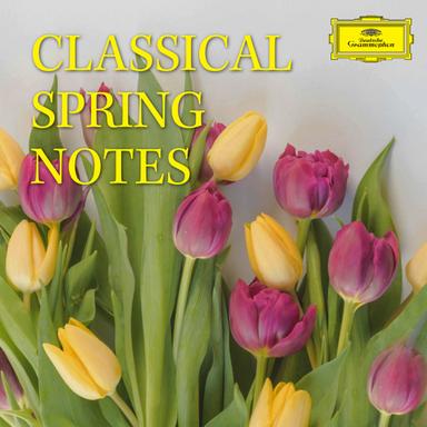 Classical Spring Notes