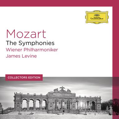 Symphony No. 10 in G, K.74: 3. (Allegro)