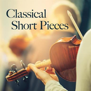 Brandenburg Concerto No. 1 in F Major, BWV 1046: II. Adagio