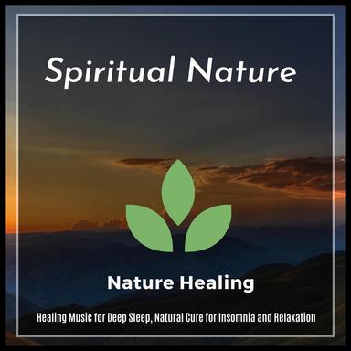The Soul Healer - Original Mix