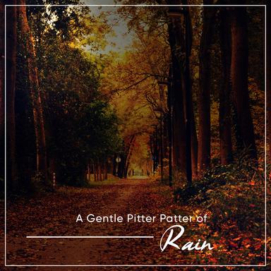 Relaxing Rainfall