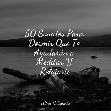 Sin Ruido
