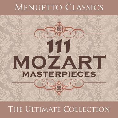 Piano Concerto No. 21 in C Major, K. 467: II. Andante