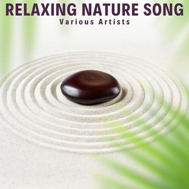 Relax Song with Ocean Waves