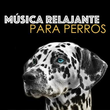 Música Relajante para Perros