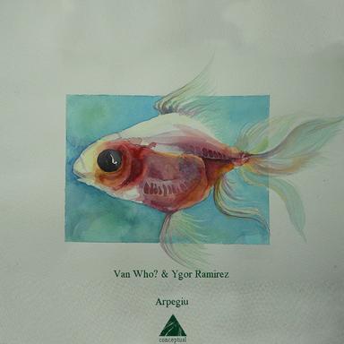 YR