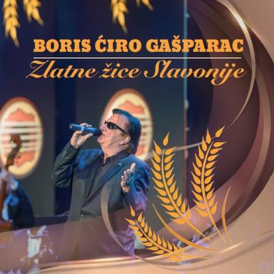 Pjevaj, pjevaj Slavonijo moja