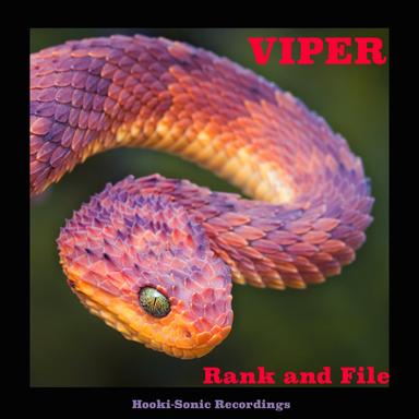 Rank and File