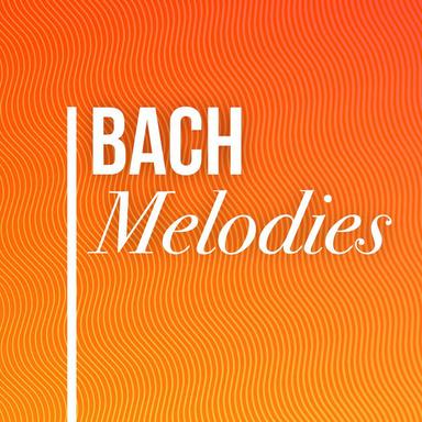 Violin Partita No. 2 in D Minor, BWV 1004: V. Ciaccona