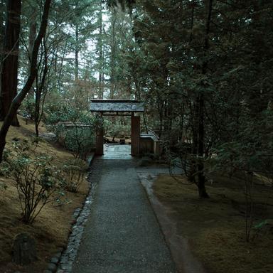 Dreamlike Zen