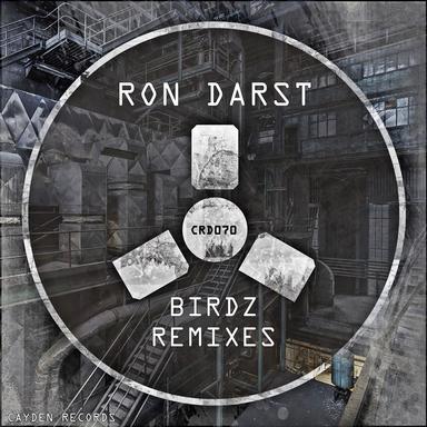Birdz - Manu Kenton Remix