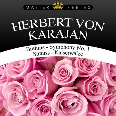 Symphony No. 1 In C Minor, Op. 68: Andante Sostenudo