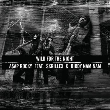 Wild for the Night (feat. Skrillex & Birdy Nam Nam)