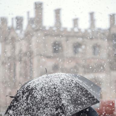 Rains Seriatim