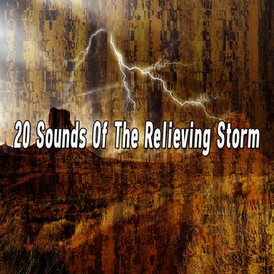 Fight The Flood Of Anxiety
