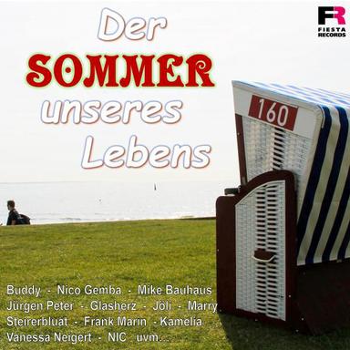 Party am Palmenstrand - Sommer Mix