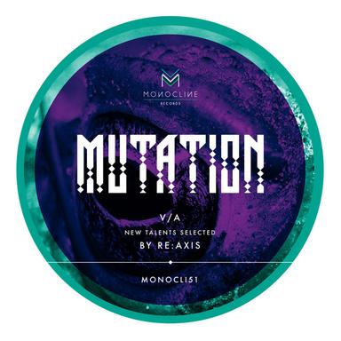 Flying Dolphin - Original Mix