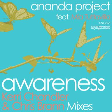 Awareness - Chris Brann Dub