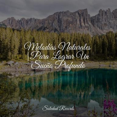 Latido De La Naturaleza