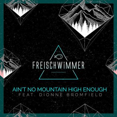 Ain't No Mountain High Enough (feat. Dionne Bromfiel) - Radio Edit