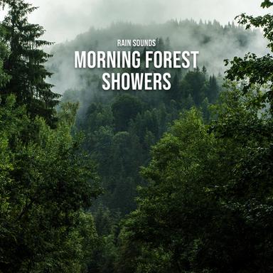Woodland Ambience With Light Passing Rain