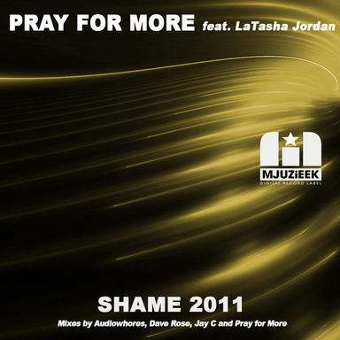 Shame 2011 - Audiowhores Remix