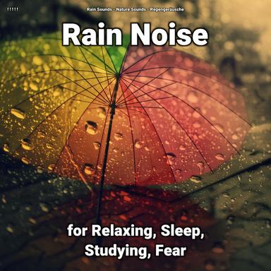 Rain Sound Effect to Help Fall Asleep