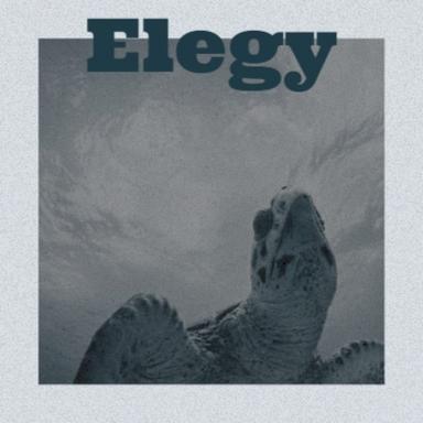Elegy